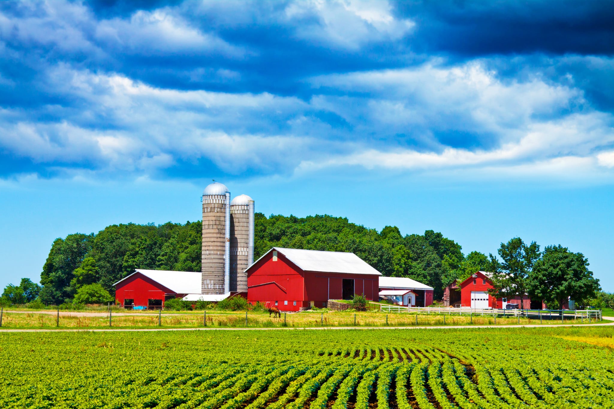 senate farm bill