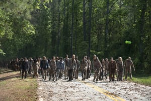 AMC Networks the walking dead