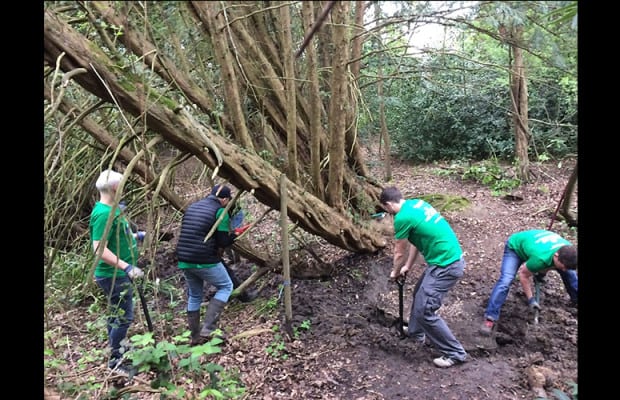 NBCU International employees volunteered in London. Comcast Cares Day projects were held in 21 countries around the globe.