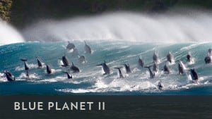 BBCA Blue Planet II Reviews