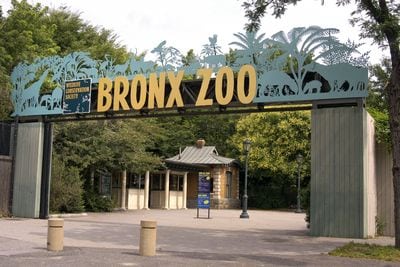 The Zoo Animal Planet