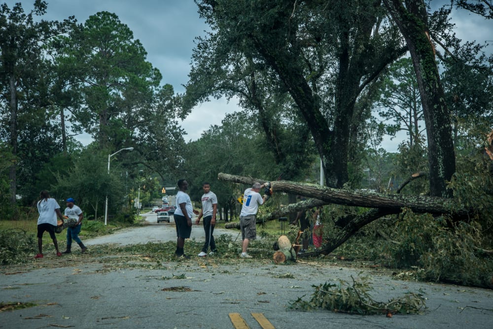 Hurricane Michael