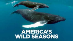 America's Wild Seasons: Spring