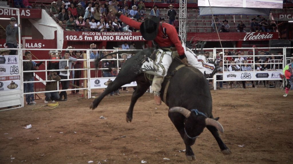 Ahí Viene el Toro