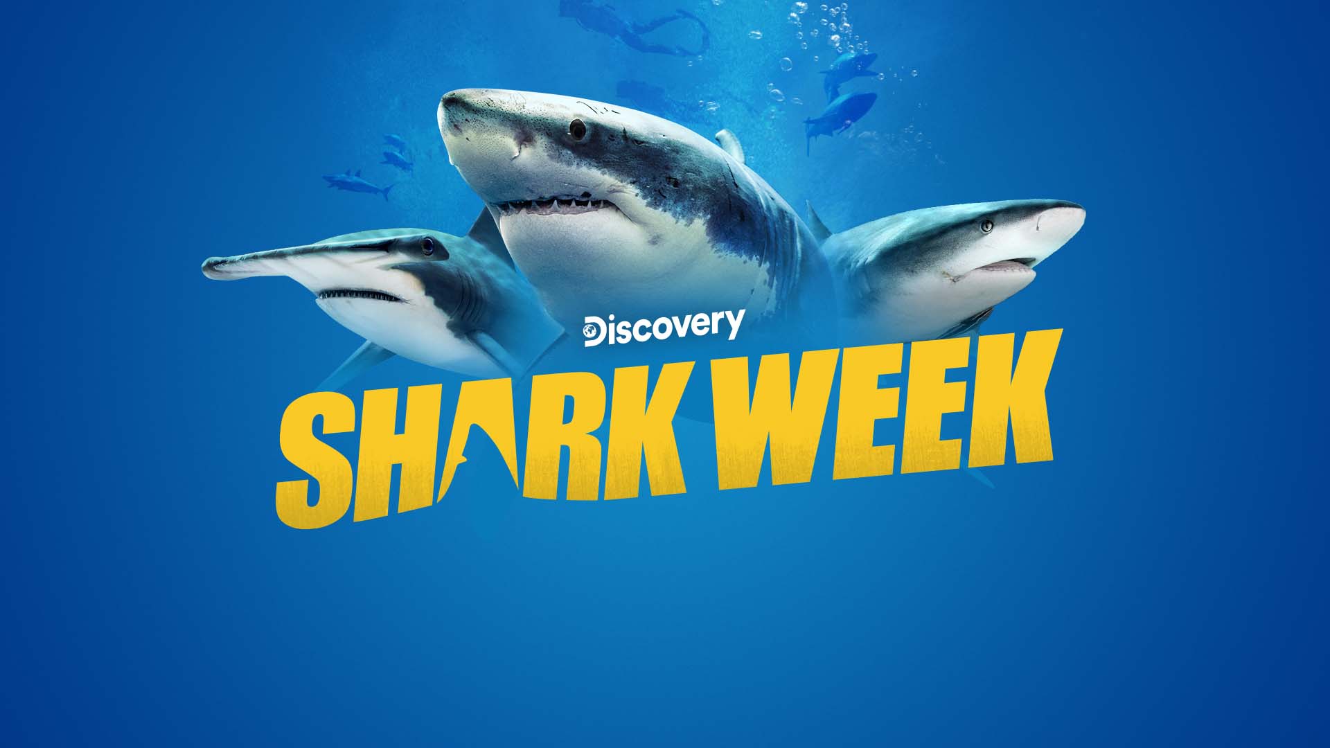 2021 Shark Week Affiliate Promotions