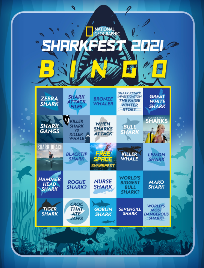 Sharkfest Beach Blanket Bingo